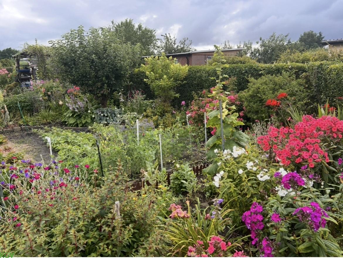 Blühende Beete und Gemüse in der Parzelle