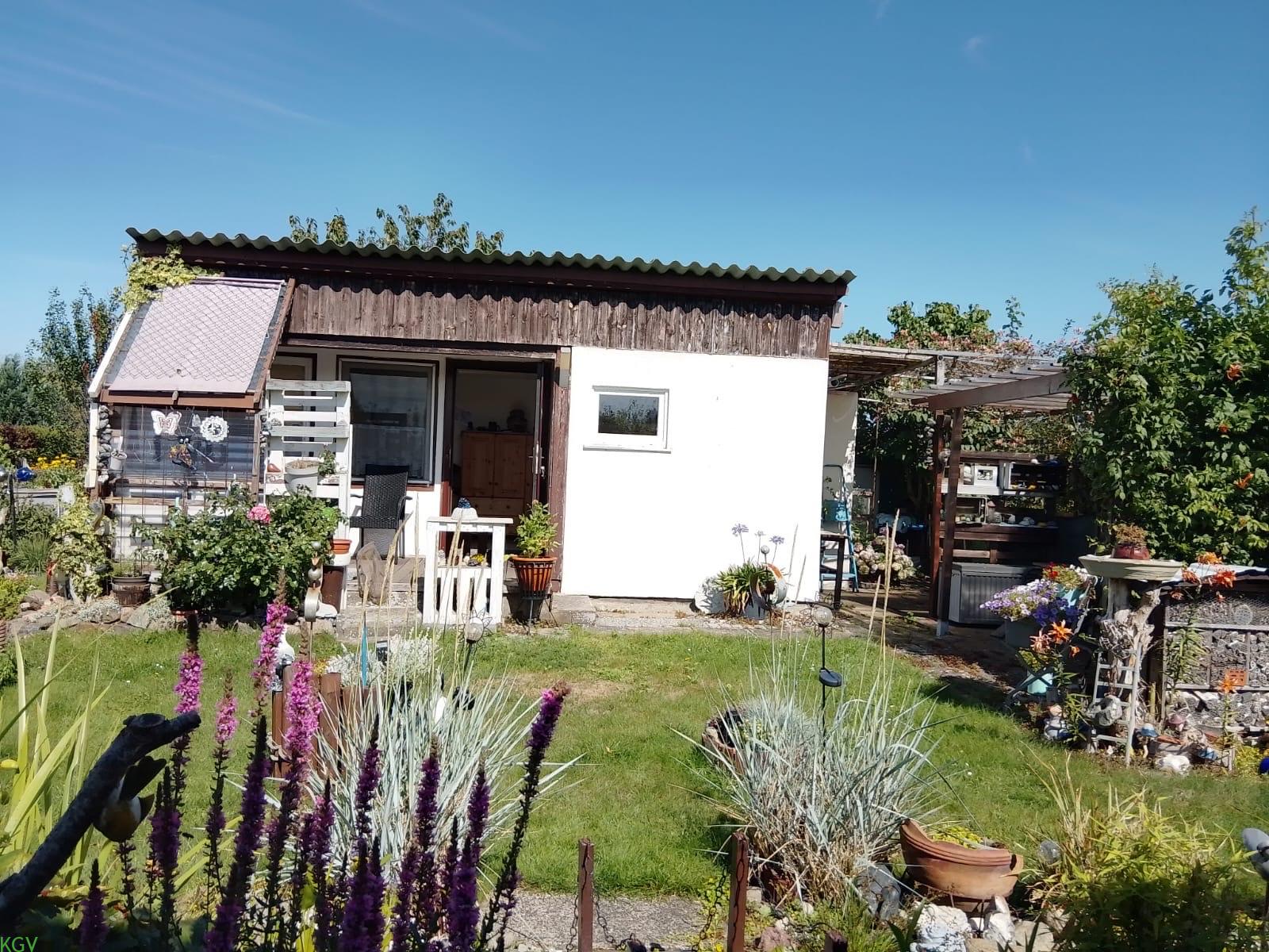 Kleingarten mit Bungalow – Vorschaubild