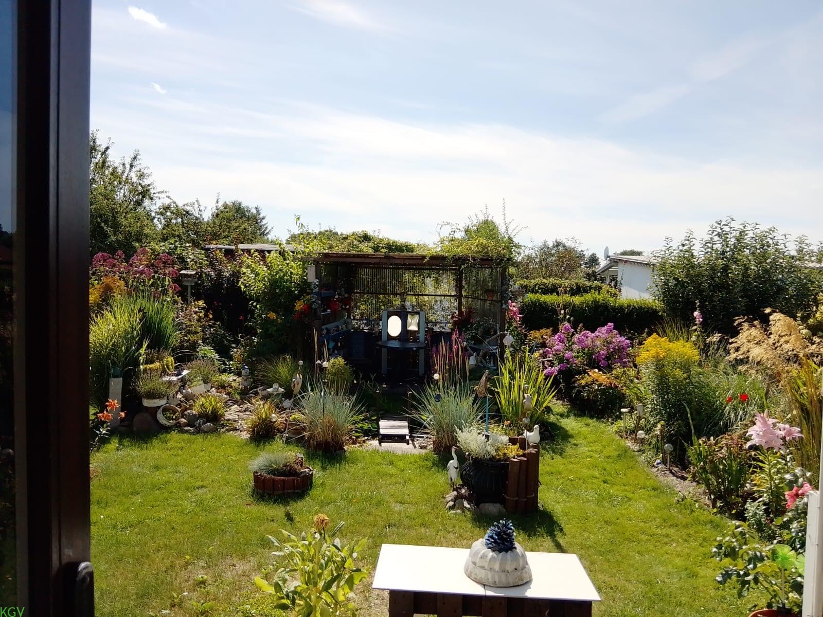 Blick über die Rasenfläche zur Pergola, üppig bepflanzt