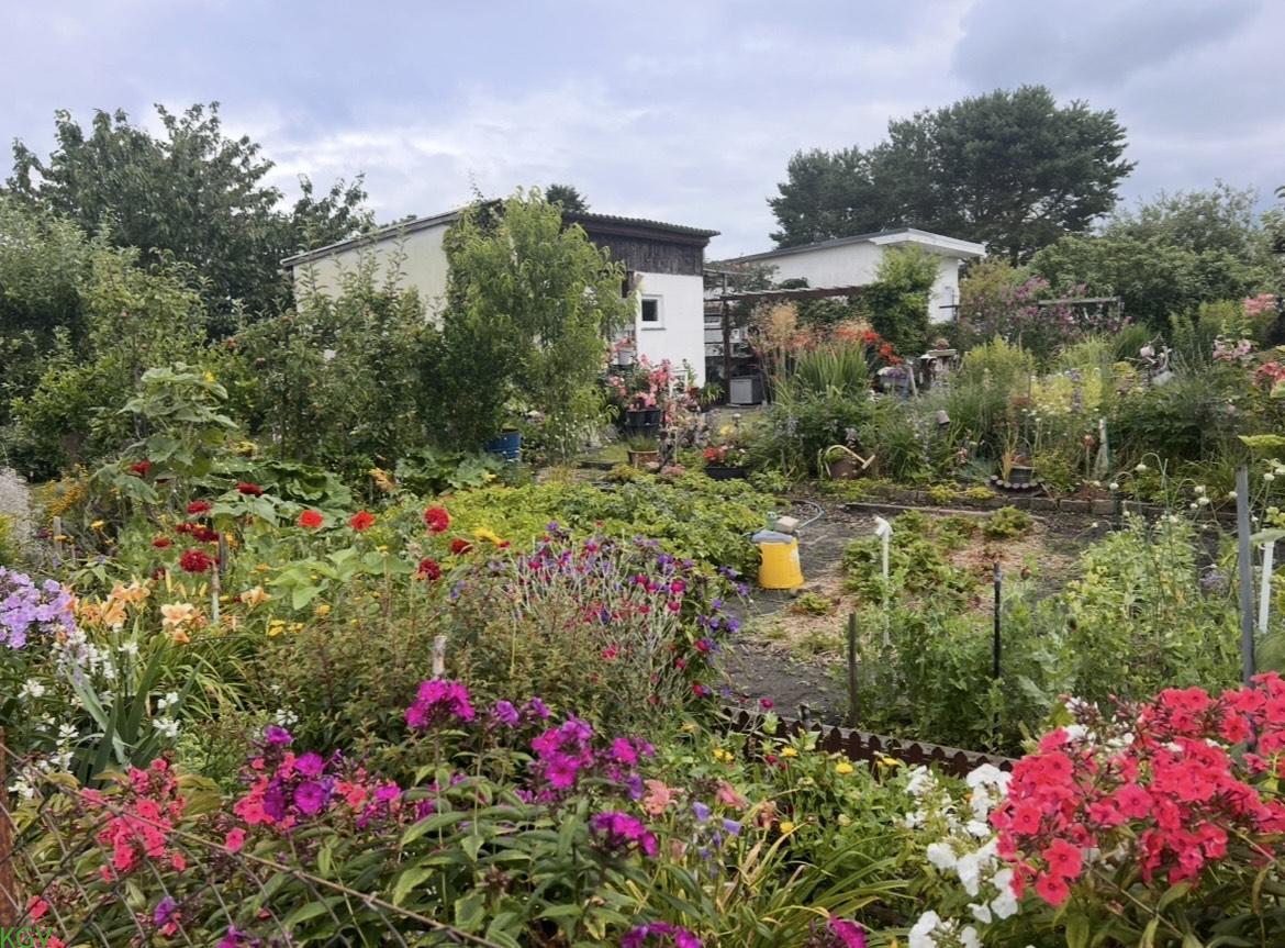 Weitwinkelansicht der Parzelle mit Beeten und Laube