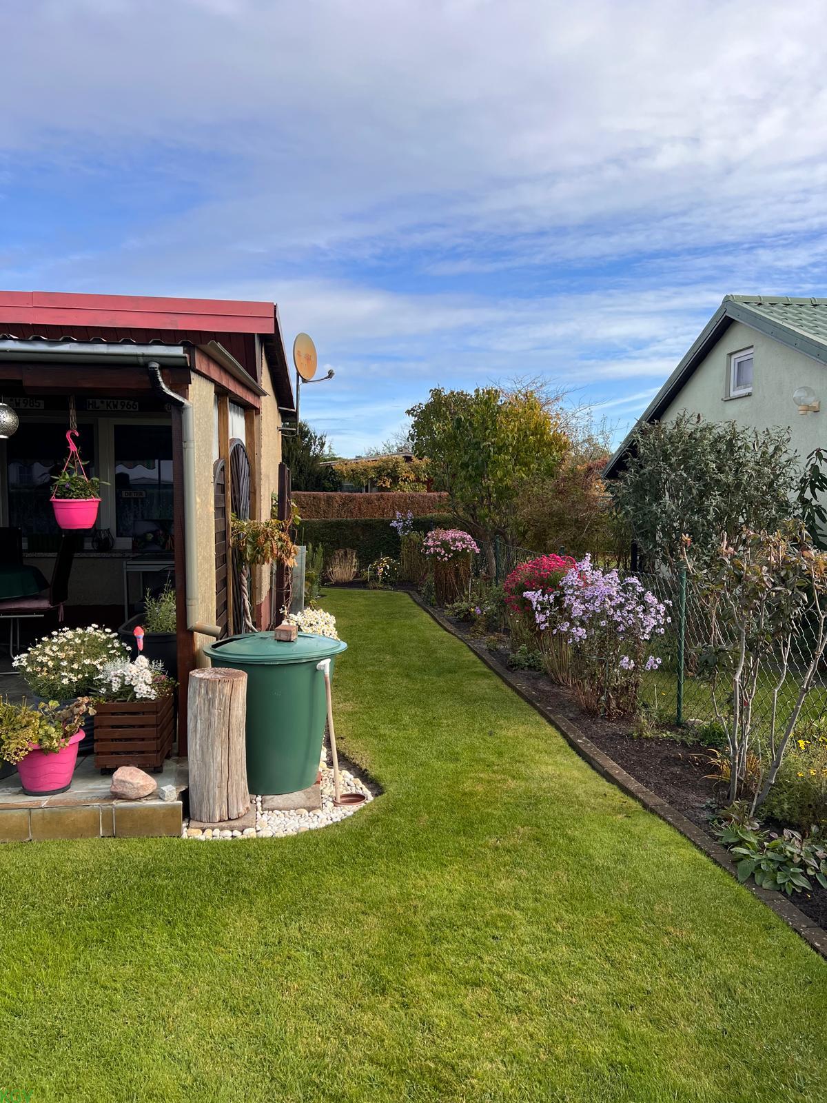 Seitlicher Blick auf Garten und Laube