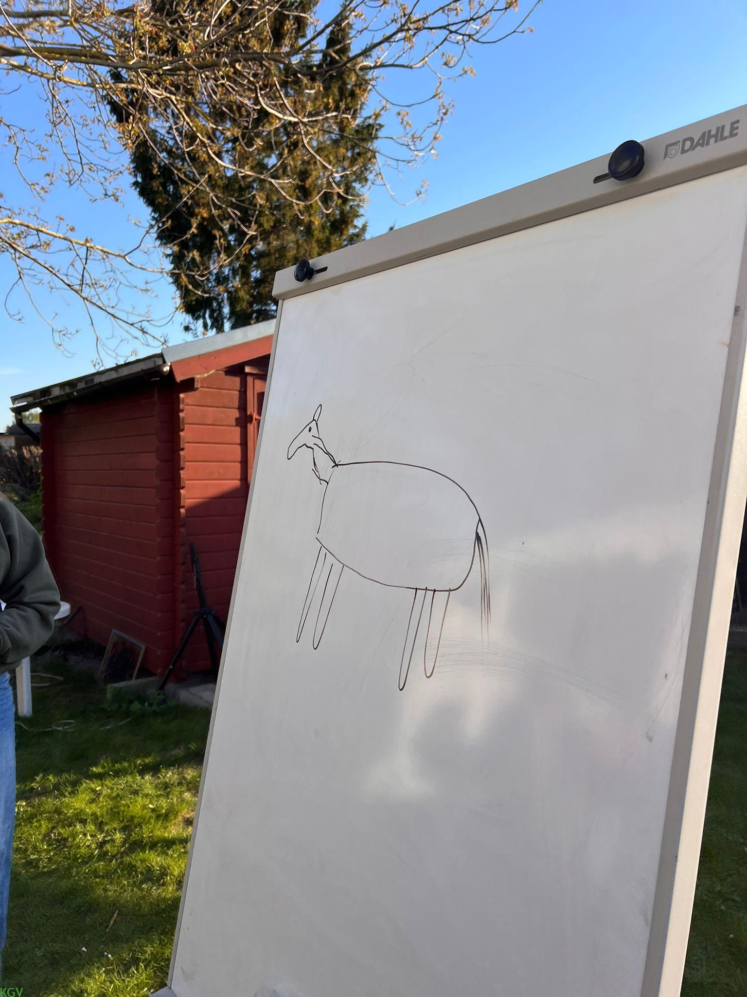 Whiteboard-Zeichnung eines Pferdes